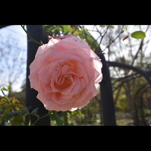 Meet your Posher, Alana